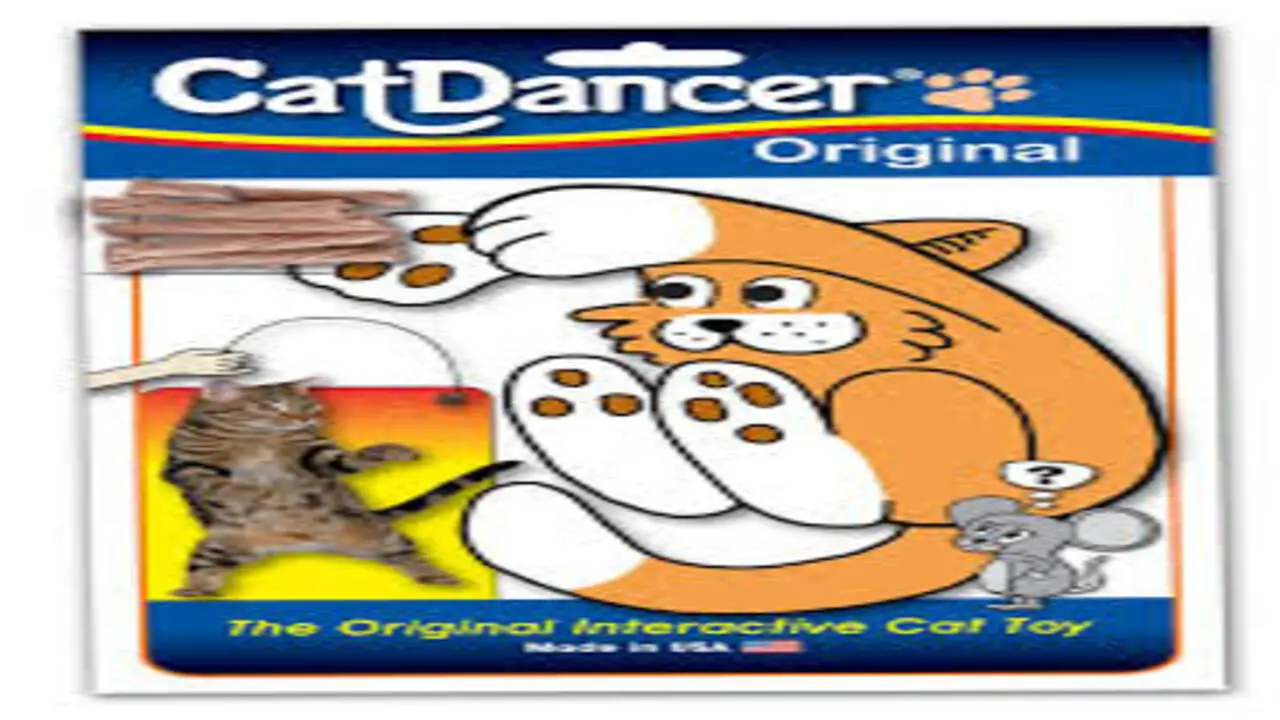 Best Cat Toys